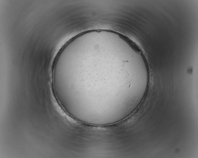 X0000111621088200907311157