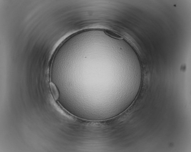 X0000111621092200907311157