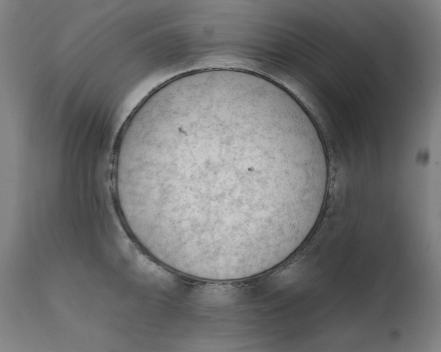 X0000111621094200907311157