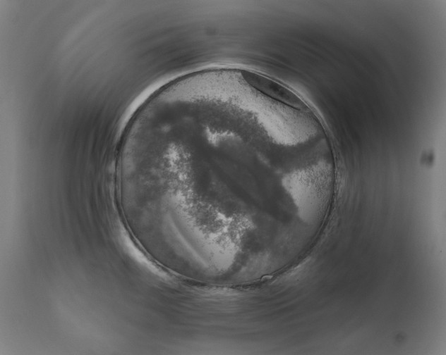 X0000111621100200907311157