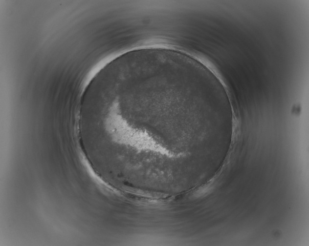 X0000111621101200907311157