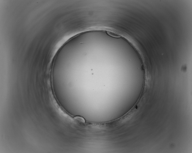 X0000111621102200907311157