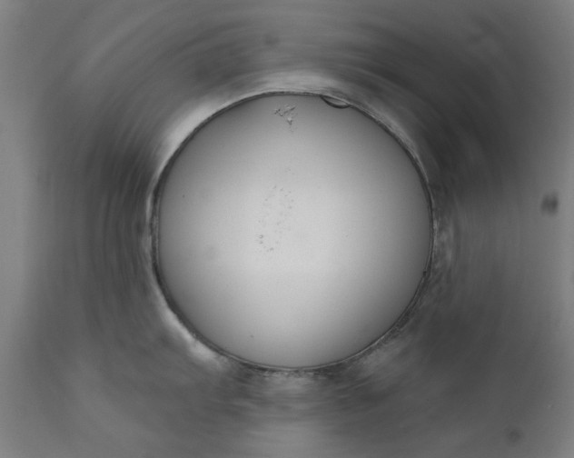 X0000111621103200907311157
