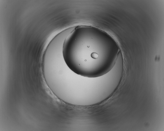 X0000111621104200907311157