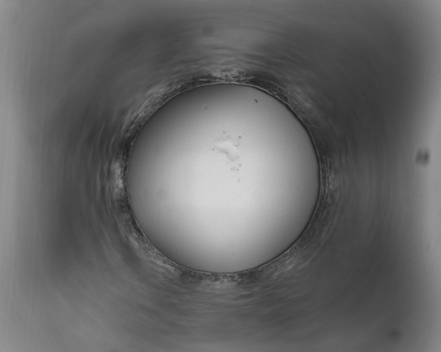 X0000111621106200907311156