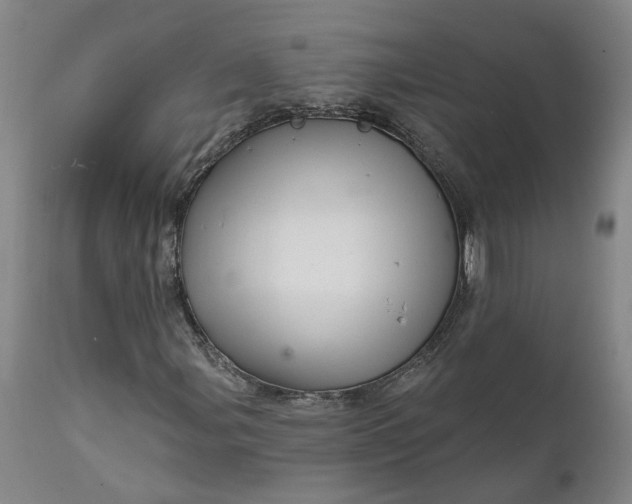 X0000111621107200907311156