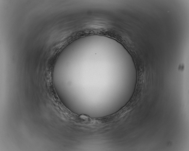 X0000111621109200907311156