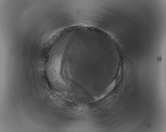 X0000111621110200907311156