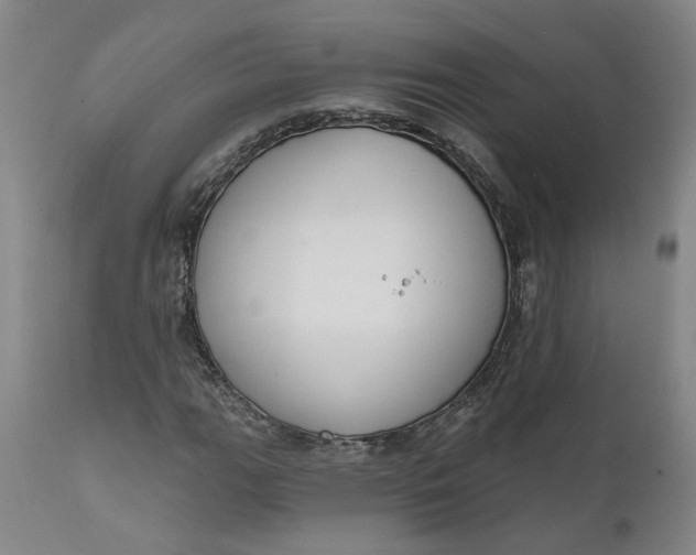 X0000111621111200907311156