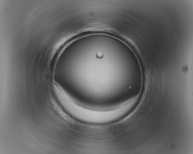 X0000111621114200907311156