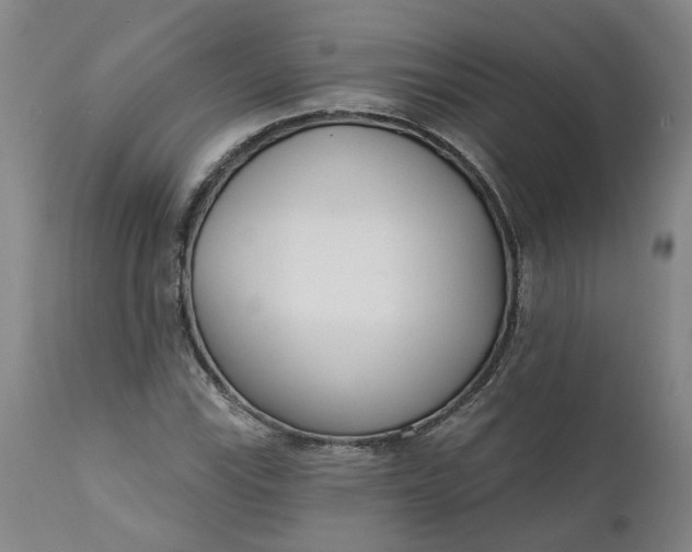 X0000111621115200907311156