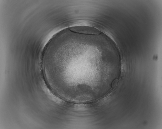 X0000111621116200907311156