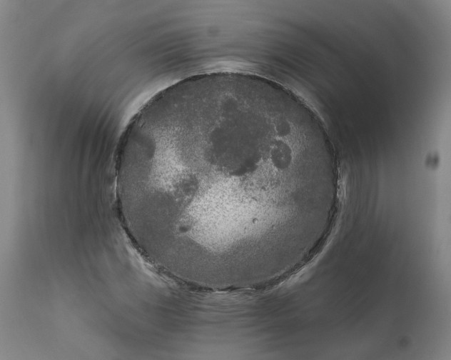 X0000111621117200907311156