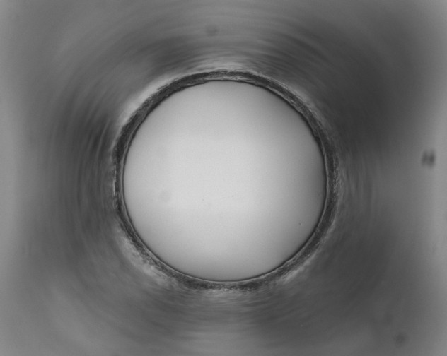 X0000111621118200907311156