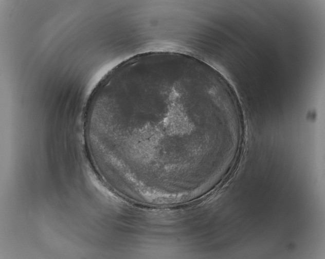 X0000111621120200907311156