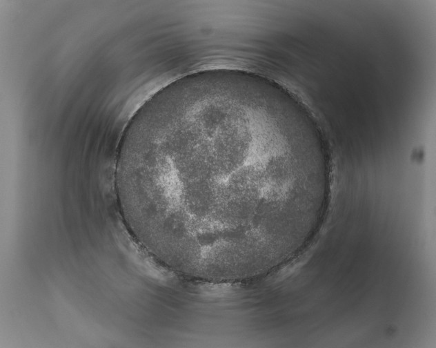 X0000111621121200907311156