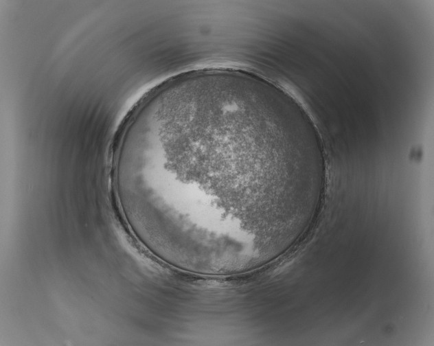X0000111621124200907311156