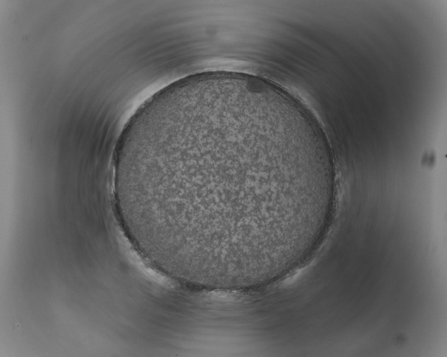 X0000111621125200907311156