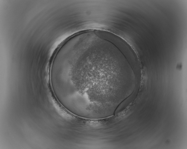 X0000111621128200907311156