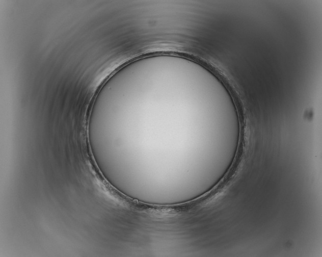 X0000111621129200907311156
