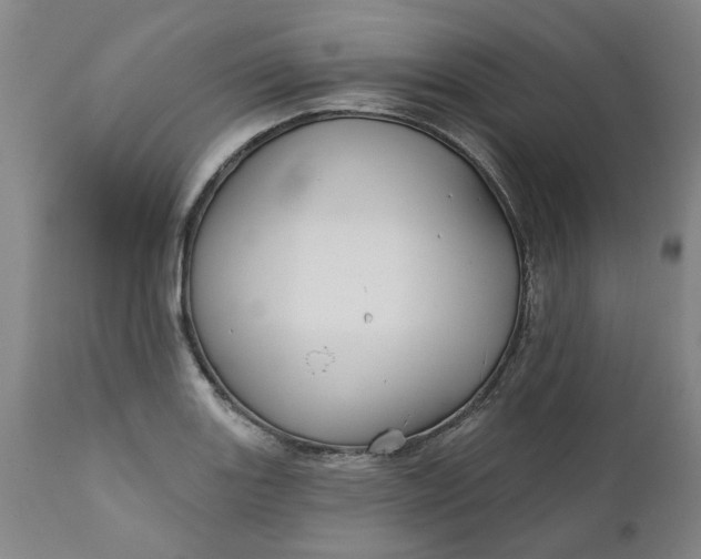 X0000111621131200907311156