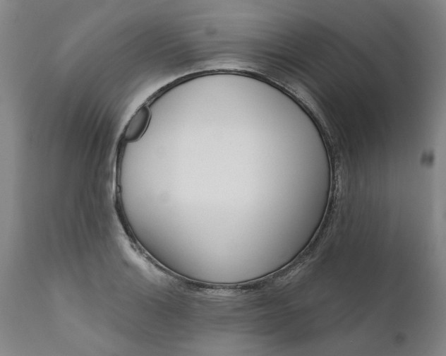 X0000111621132200907311156