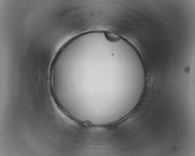 X0000111621135200907311156
