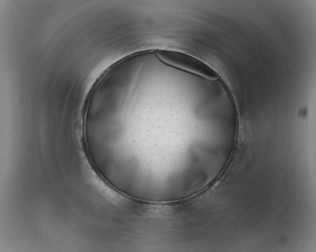 X0000111621136200907311156