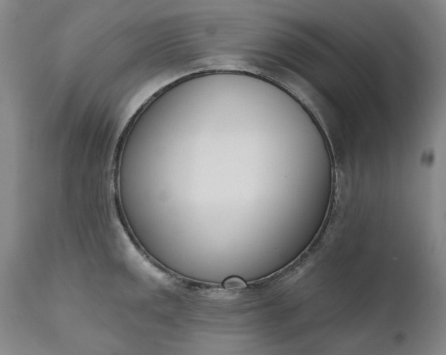 X0000111621141200907311157