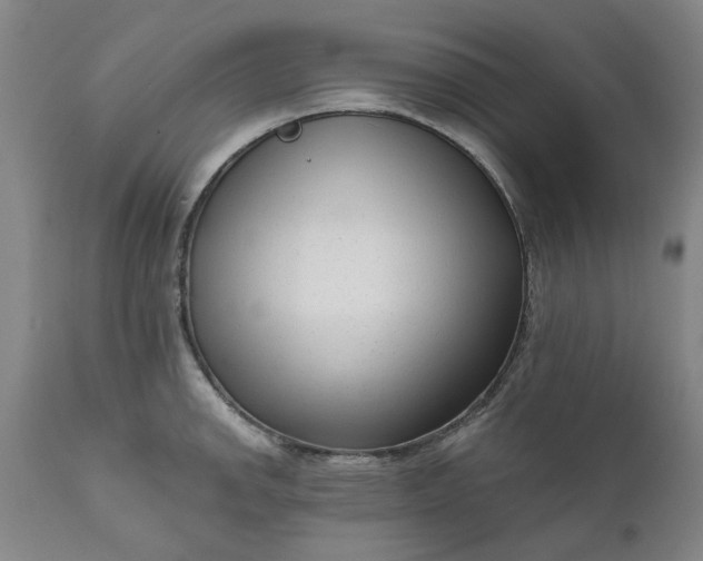 X0000111621142200907311157