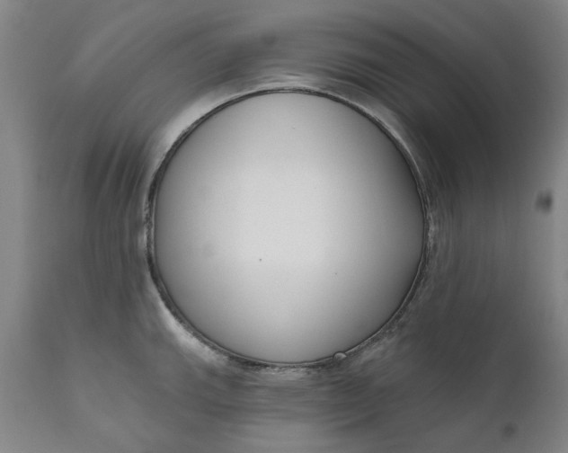 X0000111621143200907311157