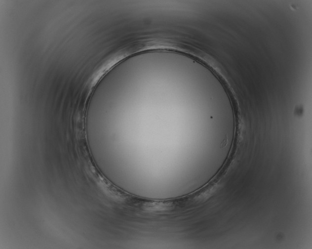 X0000111621145200907311157