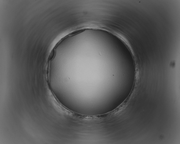 X0000111621146200907311157