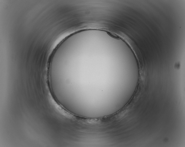 X0000111621147200907311157