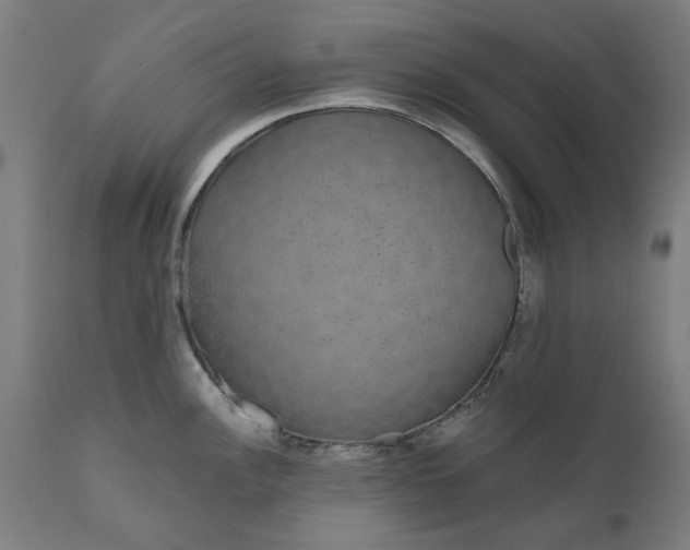 X0000111621148200907311157