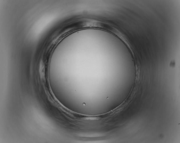 X0000111621151200907311157