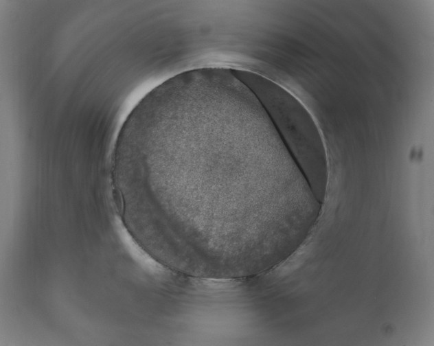 X0000111621152200907311157