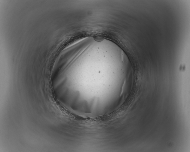 X0000111621153200907311156