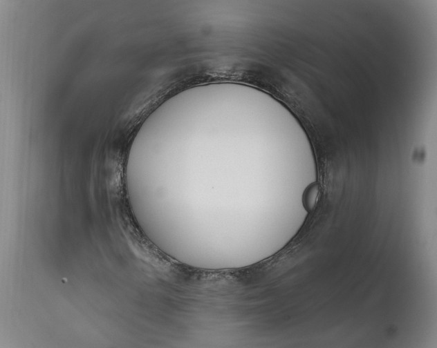 X0000111621154200907311156
