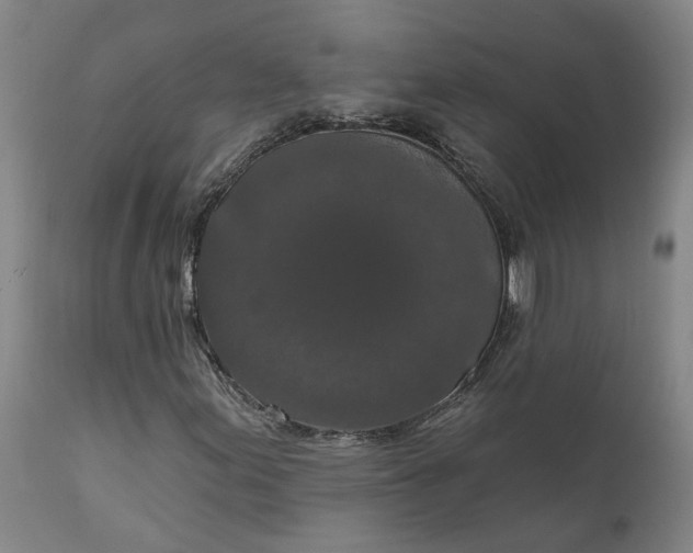 X0000111621155200907311156