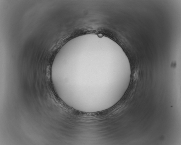 X0000111621156200907311156