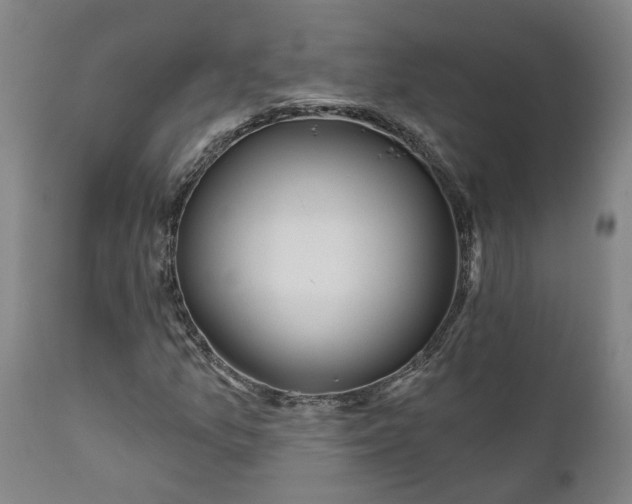 X0000111621157200907311156