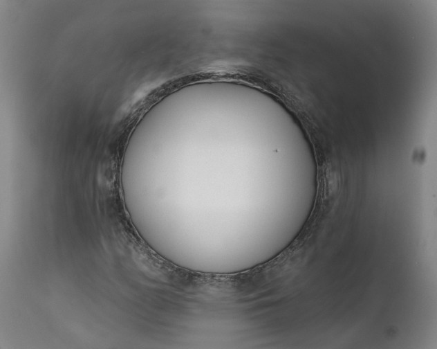 X0000111621158200907311156