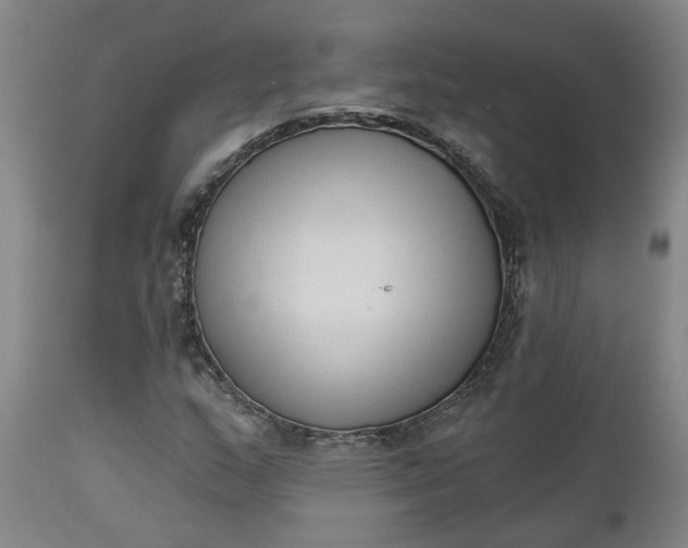 X0000111621159200907311156