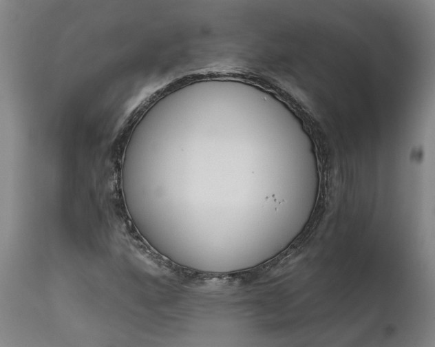X0000111621160200907311156