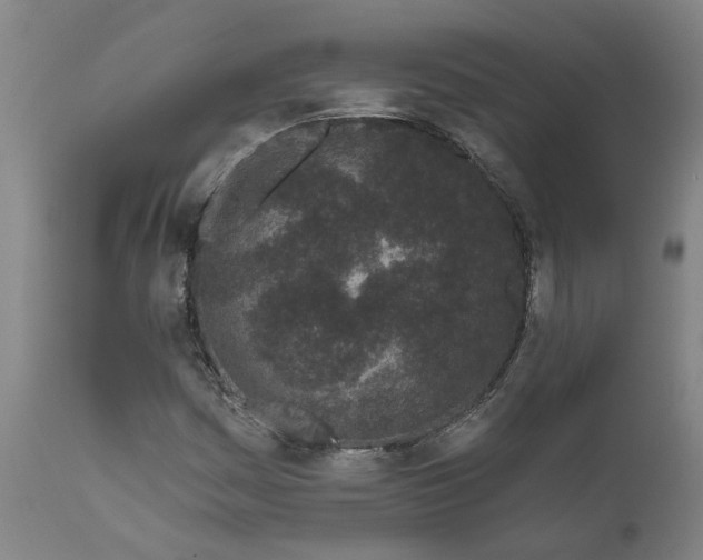 X0000111621161200907311156