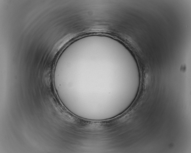 X0000111621162200907311156