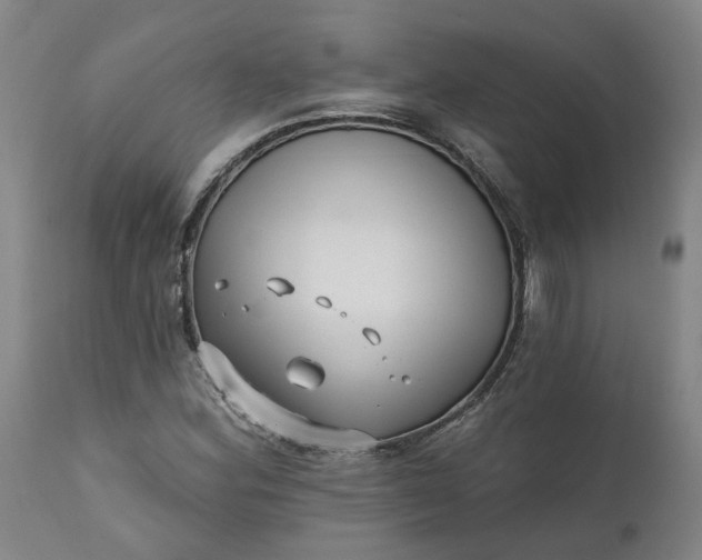 X0000111621164200907311156