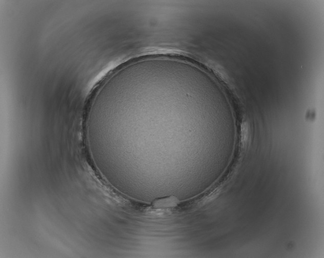 X0000111621165200907311156