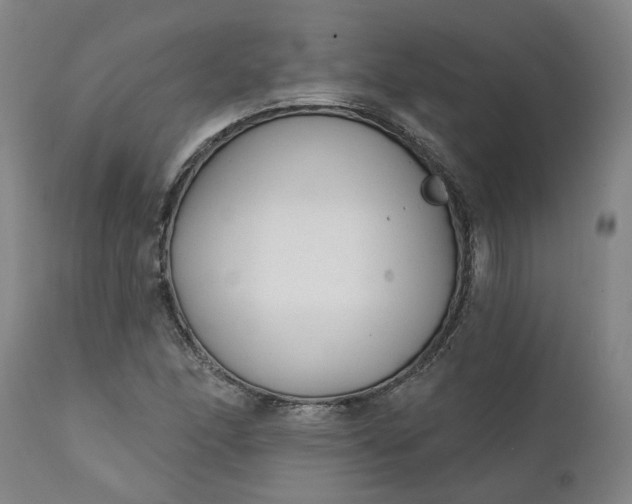 X0000111621166200907311156
